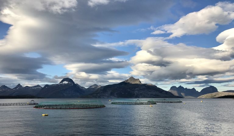 Marine Harvest-ansatt funnet livløs ved anlegg i Trøndelag – døde kort tid etter