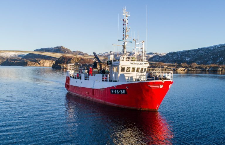 Holberg Shipping kjøper brønnbåt for frakt av smolt og rensefisk