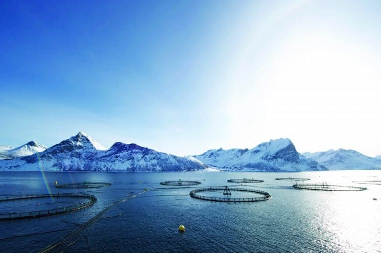 AKVA group overtar eierskapet til AKVA Safeguard fra Lerøy Aurora