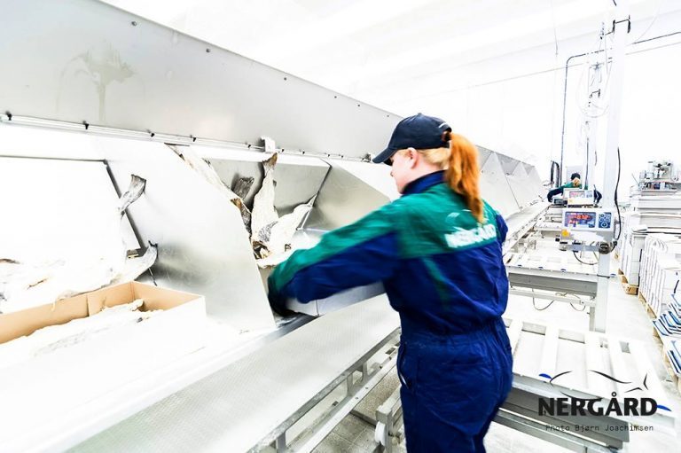 Nergård avkrefter salgsrykter: – Vi er overhodet ikke interessert i å selge