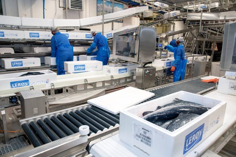 Lerøy tjente 15,3 kroner kiloet i kvartal preget av biomassebygging