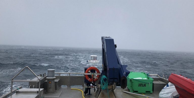 Grieg Seafood-ansatte reddet turister i havsnød: – Det hadde ikke gått bra