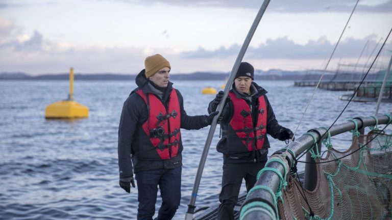 De unge mennene og havet