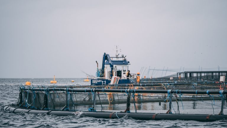 Bjørøya økte resultatet med 41,9 prosent – og venter enda mer i år