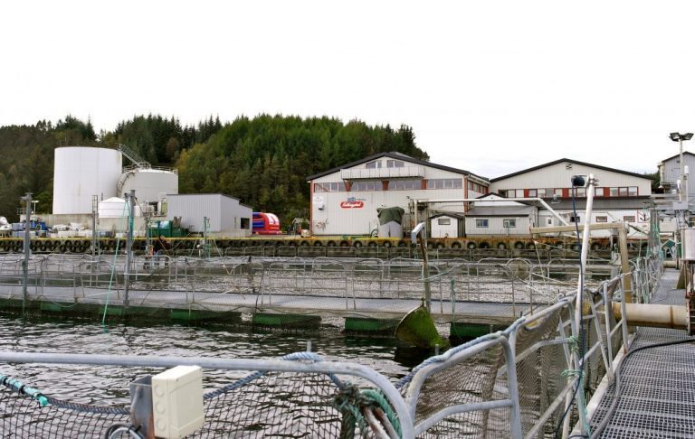 Dette blir konsekvensene for slakteriet til Sekkingstad på Skaganeset etter at &laquo;Norwegian Gannet&raquo; kom i drift