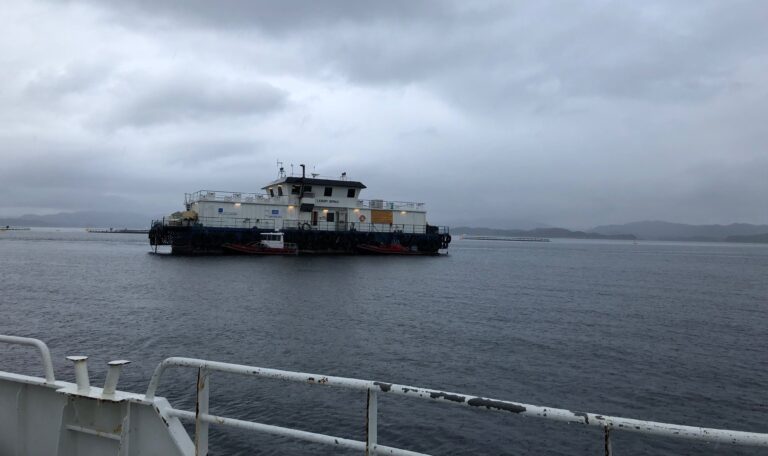 Gjellesykdom og maneter tok livet av 350.000 fisk