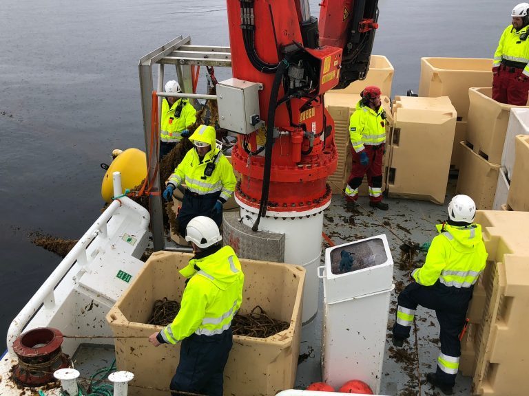 Tredobler tareproduksjonen: – Vi vil fange ressurser på avveie