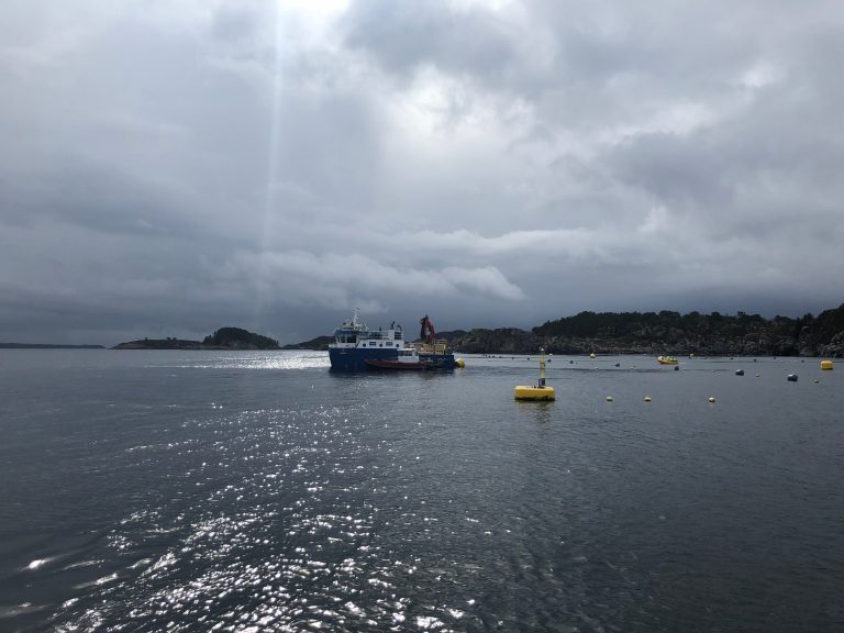 Lavere pris og slaktevolum dempet Lerøy-resultat