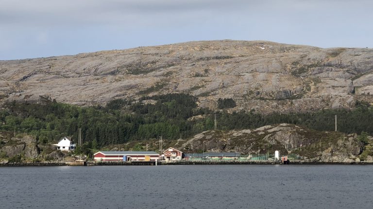 Alt var normalt da fisken ble sjekket på kveldsrunden. Morgenen etter var titusenvis av smolt døde