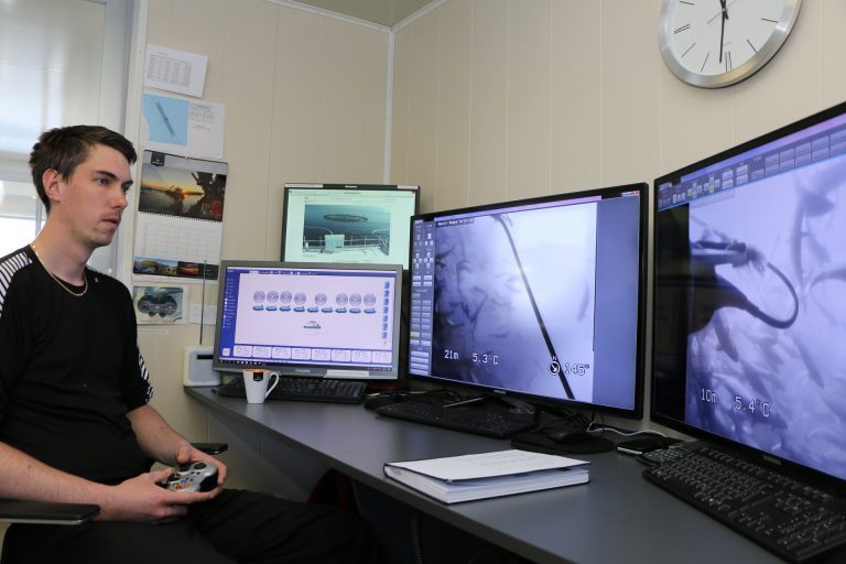 Slik fikk Marine Harvest på Rogne bedre kontroll og mindre lus