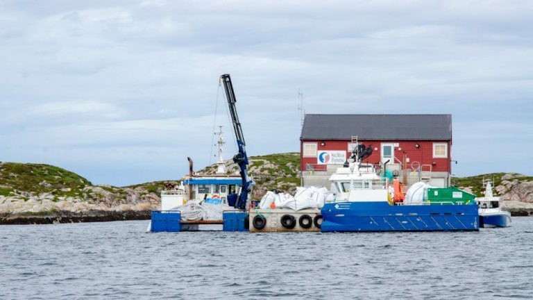 Vil mer enn doble produksjonen av laks i Froan