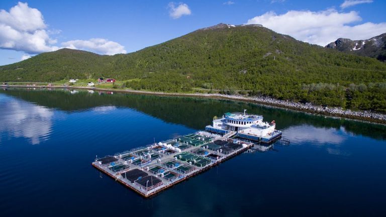 Mistanke om rømming hos Havbruksstasjonen i Tromsø – oppdaget villfisk i nota