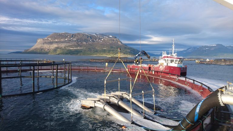 Northern Lights Salmon med resultatfall på 72 millioner kroner