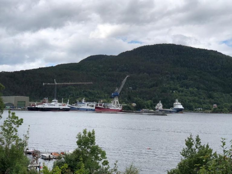 Tunge nedskrivinger senket Havyard-resultat