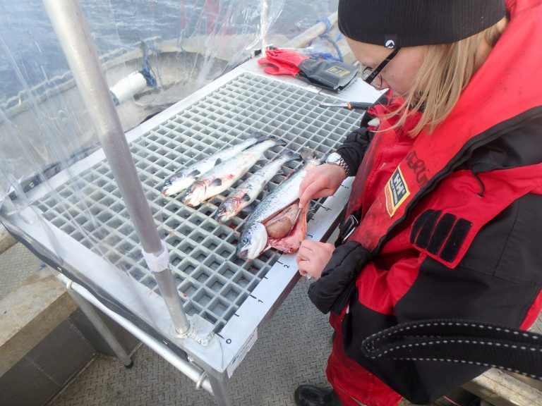 Hurtig og lønnsom vekst for nord-norsk fiskehelsefirma