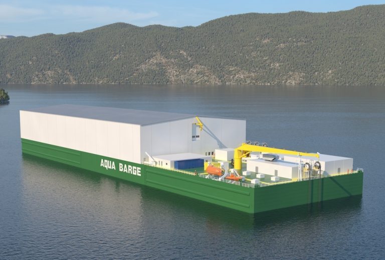 Albatros Technology fikk nei til utviklingstillatelser: – Hvor går grensen for hva som er innovativt?