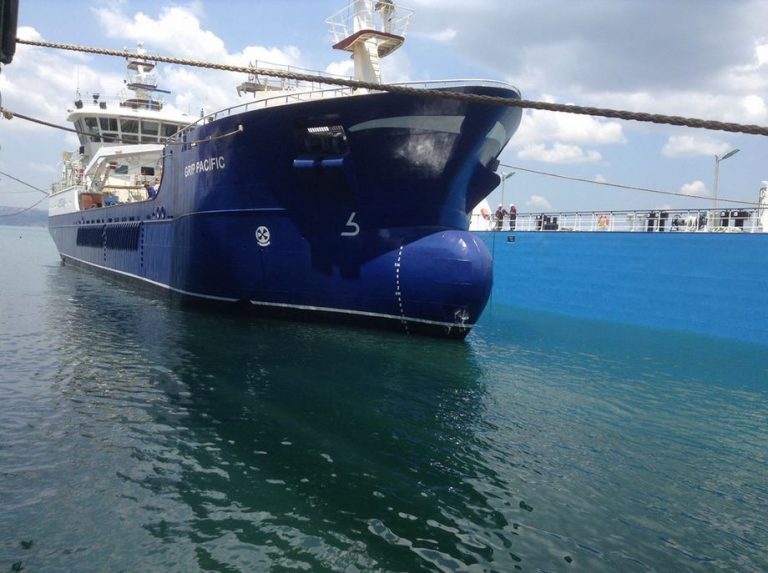 Derfor slår Gripship seg sammen med Johnson Marine