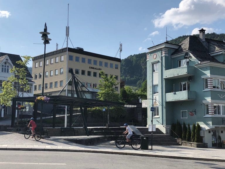 Økt dødelighet og lavere produksjonsvolum dro ned for Lingalaks
