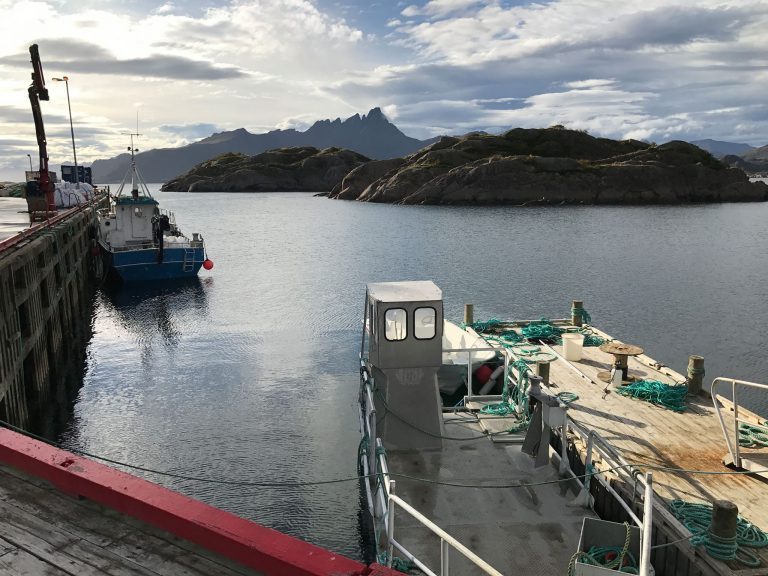 Lofoten Sjøprodukter kjøpte vekst for 24,3 mill. : – Vi kjøpte ut fra lokal lokalpatriotisme. Økonomisk er det lite fornuftig