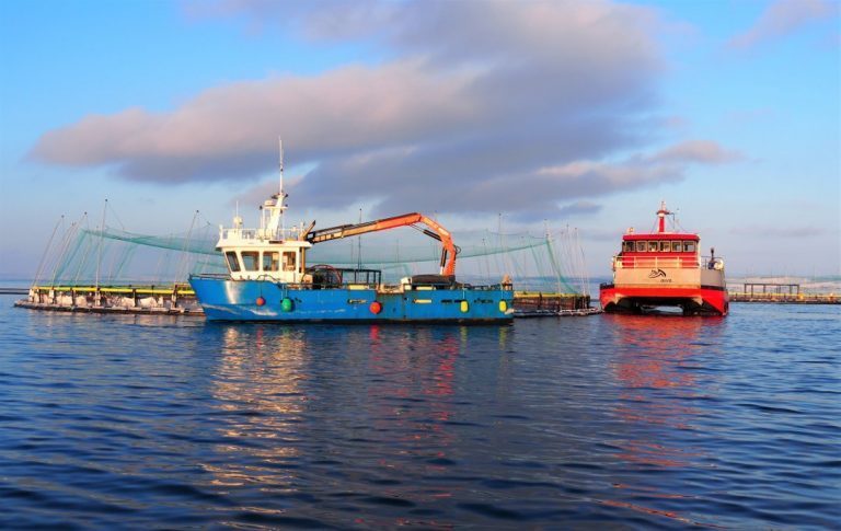 Oppretter Finnmark Havbruksfond