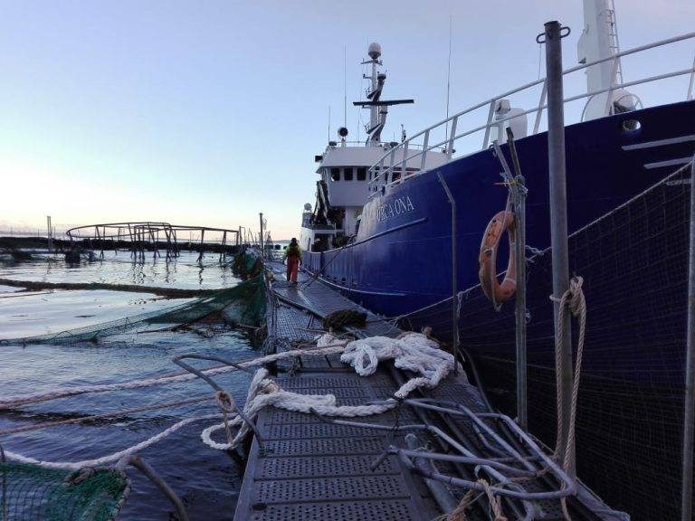 680.000 laks på rømmen