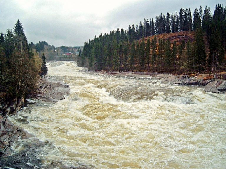Sist denne elven hadde furunkuloseutbrudd, døde tre tonn laks. Nå er et nytt utbrudd bekreftet