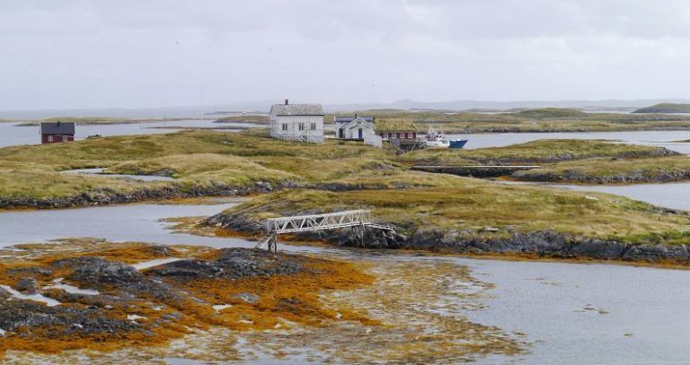 Marine Harvest: Fullt mulig å ivareta både verdensarv og havbruk i Vega