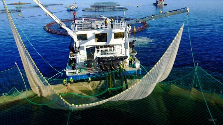Har spesialisert seg på avlusningslektere – leverte nærmere sju mill. i første driftsår: – 2017 er enda bedre