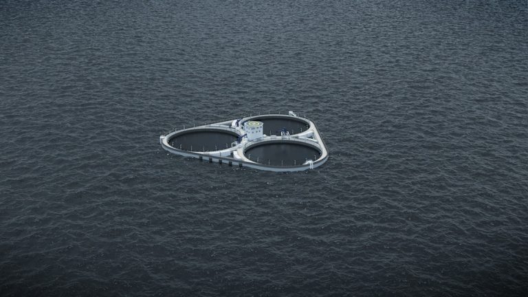 Ordfører i Harstad om &laquo;Øymerd&raquo;: – Vi ønsker å hjelpe til med å gi prosjektet framdrift