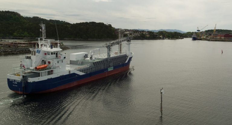 Omstrukturering trekker ned årsresultatet til Artic Shipping: – Koster å samle alle båtene i ett selskap