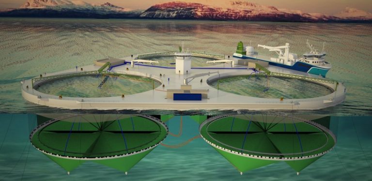 Salaks antyder at et ja til &laquo;FjordMAX&raquo; kan bety både nytt settefiskanlegg og nytt slakteri