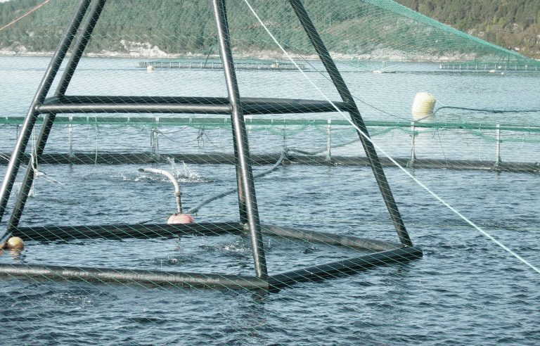 Tysfjord-rømming: – Vi vil ikke bruke mer ressurser på saken