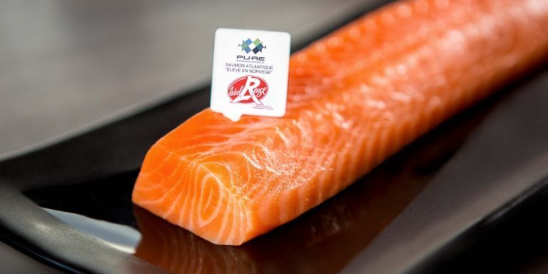 Pure Norwegian Seafood tar grep for å møte økende etterspørsel etter gourmetlaks