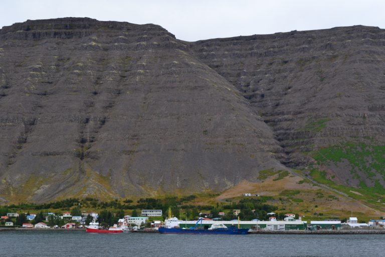 Islands største lakseoppdretter befinner seg i en bygd med 290 innbyggere: – Vi håper å skape et lite Frøya på Vestfjordene