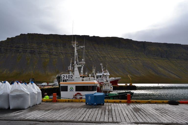 Høy etterspørsel gjør at emisjonen i Icelandic Salmon blir større enn planlagt