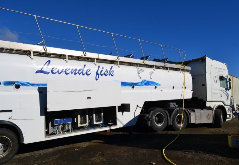 Laxar fikk BKD etter smolttransport: – Det var en nybegynnerfeil