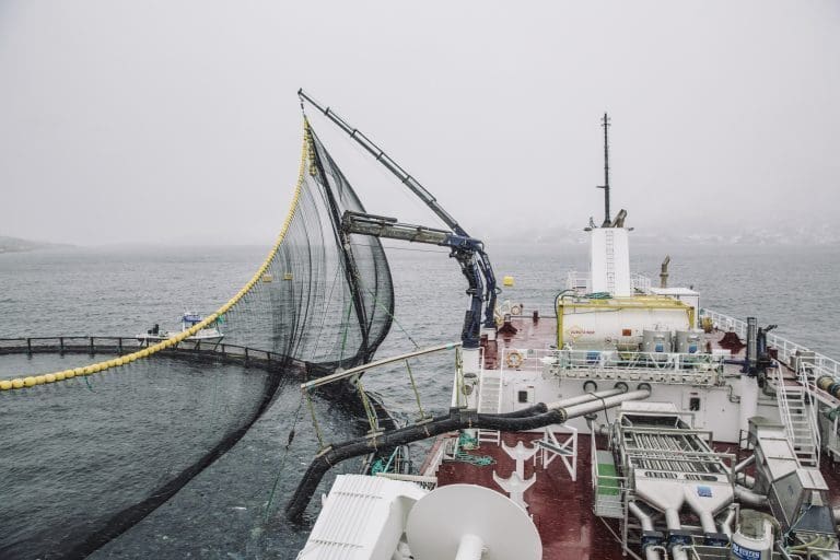 Nordlaks selger brønnbåten «Bjørg Pauline» til Intership