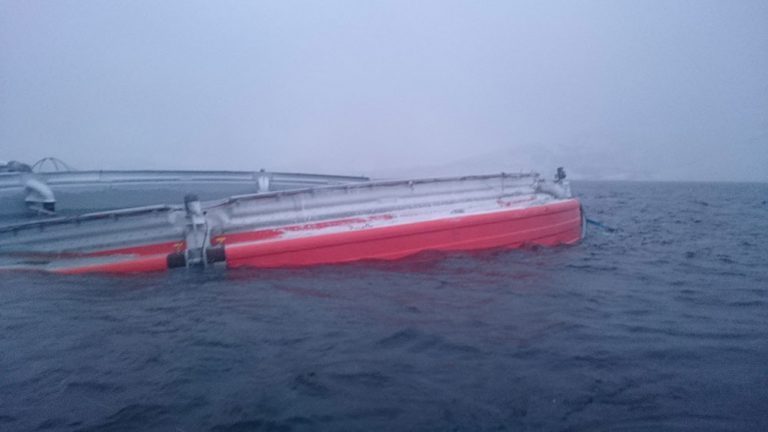 AquaDomen-rettssaken: Cermaq vant ikke fram med krav om erstatning