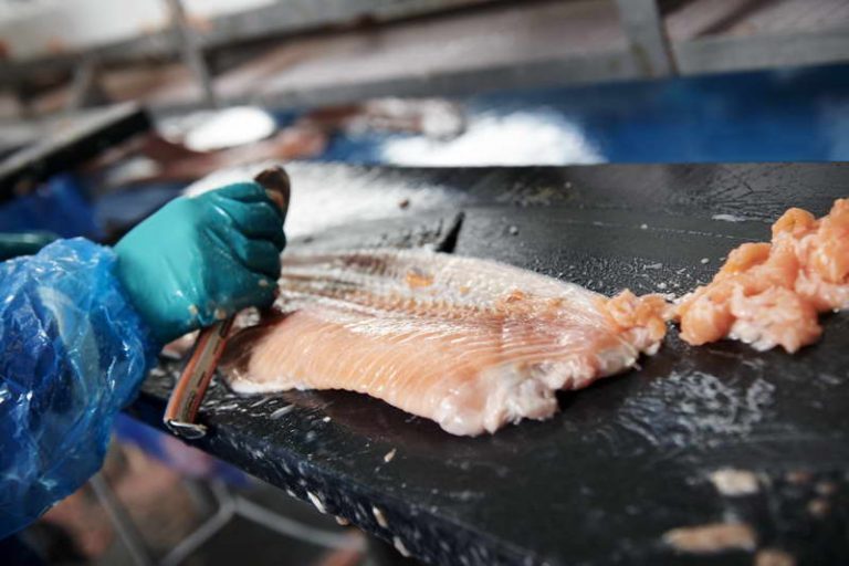 Dansk TV2: Lakseforedler skal ha forfalsket listeria-analyser