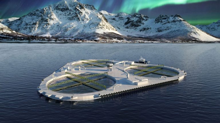 Dette gjør Salaks mens de venter på en avgjørelse rundt &laquo;FjordMAX&raquo;
