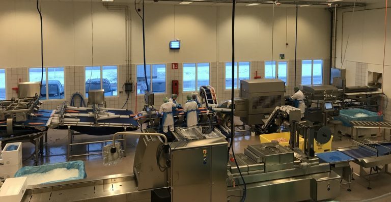 Norwegian Fish Company: – Vi har vekstambisjoner. Det stopper ikke i Mehamn