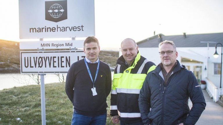Derfor utsetter Marine Harvest avgjørelsen om ny Hitra-fabrikk igjen
