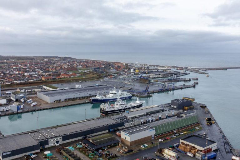 Ny uke med stabilt høye laksepriser