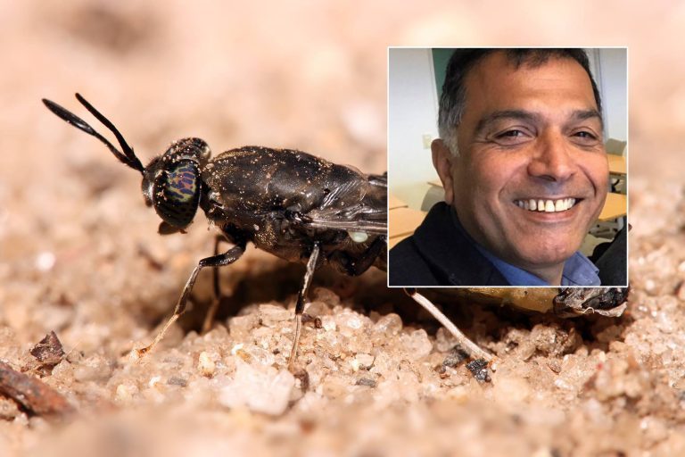 – Det var riktig timing for både meg og selskapet, sier mannen bak Fredrikstad Aquafarms