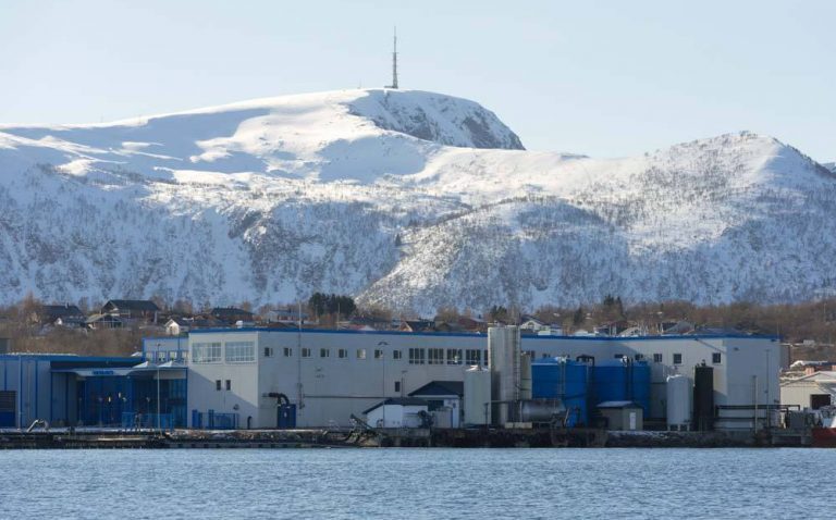 Nordlaks slaktet nesten 70.000 tonn laks og ørret i 2018