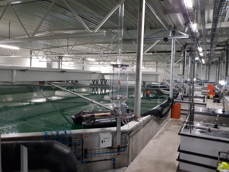 Tytlandsvik Aqua har funnet årsaken til uforutsett utslipp av plastkuler i sjø