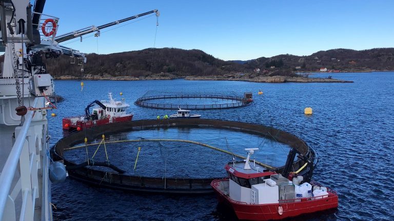 Her er &laquo;Norwegian Gannet&raquo; på sitt første oppdrag: – Det var veldig godt å komme i gang. Det koster penger å ligge i ro