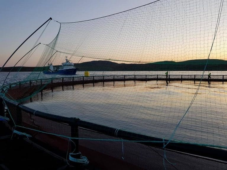 Grieg Seafood om planforslag: – Kan føre til mindre miljøvennlig drift på anleggene i Alta enn våre anlegg i andre kommuner