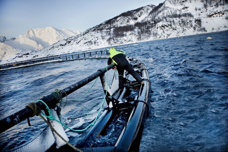 Direktør i Grieg Seafood Finnmark: – Et stort paradoks at kysten og distriktene må betale når myndighetene leter etter nye skatteinntekter
