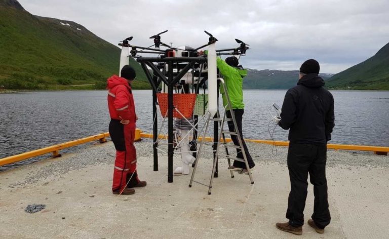 Mener kråkeboller fanget med drone kan brukes til å rense oppdrettsmerder